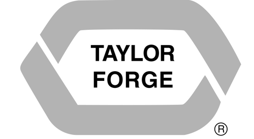 Taylor Forge Stainless